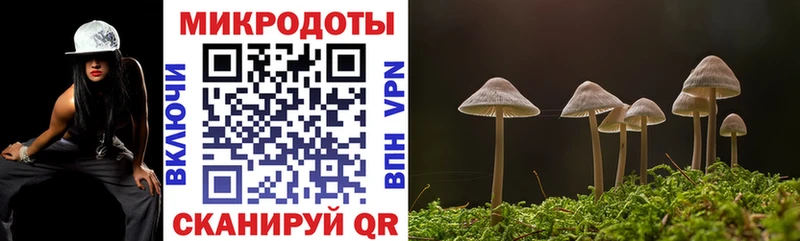 Псилоцибиновые грибы Psilocybe  Купить  Жуков 
